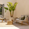 Yabu Pushelberg Interiorer Designer Choice Hotel Outdoor Furniture